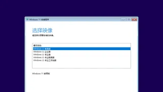 Windows 11 25H2 简体中文版 2025.10 Windows 11 25H2 简体中文版 2025.10
