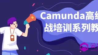 Camunda高级实战培训系列教程