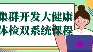 集群开发大健康体检双系统课程