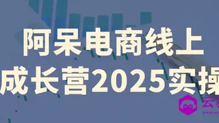 阿呆电商线上成长营2025实操