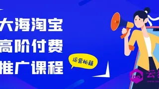大海淘宝高阶付费推广课程