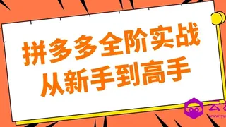 拼多多全阶实战从新手到高手
