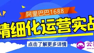 阿里巴巴1688精细化运营实战 阿里巴巴1688精细化运营实战