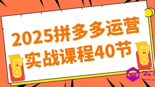 2025拼多多运营实战课程40节