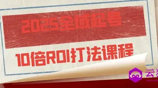 2025全域起号10倍ROI打法课程