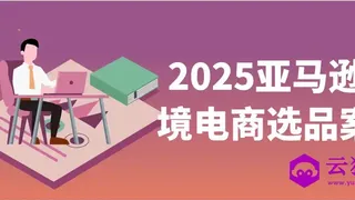 2025亚马逊跨境电商选品案例