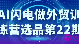 AI闪电做外贸训练营选品第22期