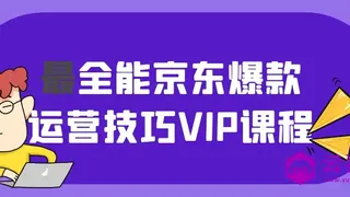 最全能京东爆款运营技巧VIP课程