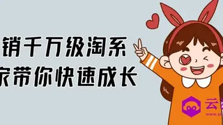 年销千万级淘系商家带你快速成长