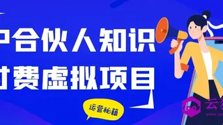 IP合伙人知识付费虚拟项目