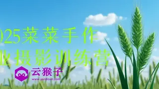 2025菜菜手作专业摄影训练营