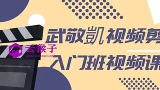 武敬凱视频剪辑入门班视频课程