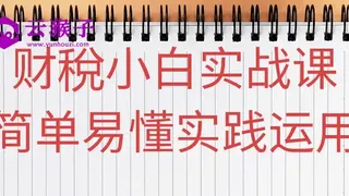 财稅小白实战课简单易懂实践运用