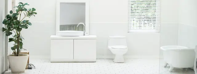 网页特效演示 2967