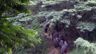 jQuery内容滚动条拖拽滑动解锁代码