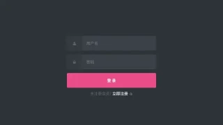 CSS3带图标和占位符的登录表单