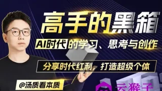 高手的黑箱:AI时代学习与创作 高手的黑箱:AI时代学习与创作