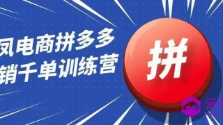 白凤电商拼多多日销千单训练营