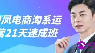 白凤电商淘系运营21天速成班