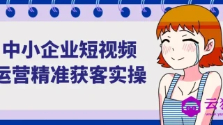 中小企业短视频运营精准获客实操 中小企业短视频运营精准获客实操