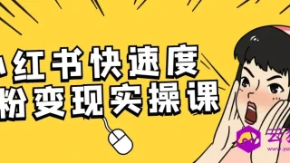 小红书快速度涨粉变现实操课