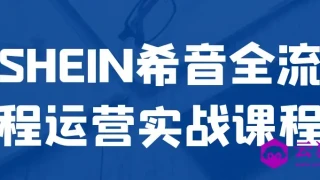 SHEIN希音全流程运营实战课程 SHEIN希音全流程运营实战课程