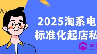 2025淘系电商标准化起店私教