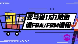 亚马逊1对1陪跑课FBA/FBM课程 亚马逊1对1陪跑课FBA/FBM课程
