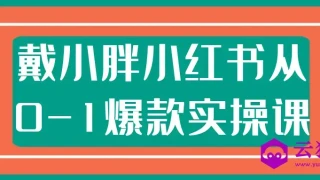 戴小胖小红书从0-1爆款实操课