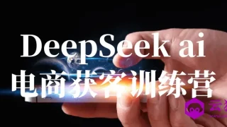 DeepSeek ai电商获客训练营 DeepSeek ai电商获客训练营