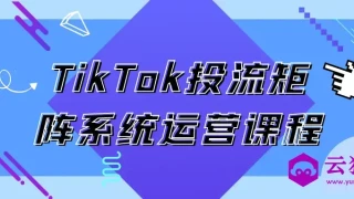 TikTok投流矩阵系统运营课程