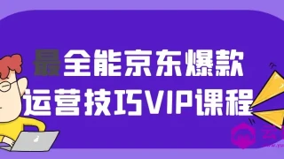 最全能京东爆款运营技巧VIP课程 最全能京东爆款运营技巧VIP课程