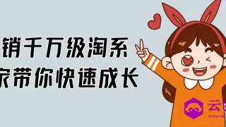 年销千万级淘系商家带你快速成长