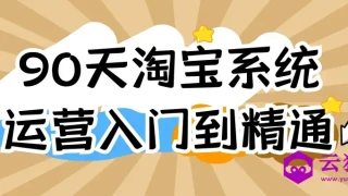 90天淘宝系统运营入门到精通 90天淘宝系统运营入门到精通