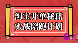 淘宝开单秘籍实战陪跑计划