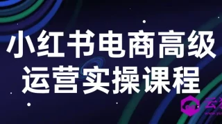 小红书电商高级运营实操课程 小红书电商高级运营实操课程