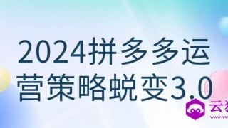 2024拼多多运营策略蜕变3.0 2024拼多多运营策略蜕变3.0