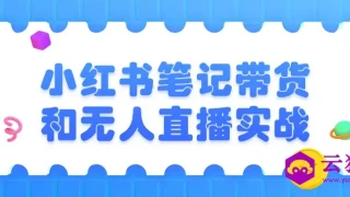 小红书笔记带货和无人直播实战 小红书笔记带货和无人直播实战