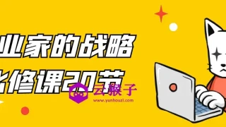 企业家的战略必修课20节 企业家的战略必修课20节