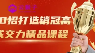 30招打造销冠高成交力精品课程 30招打造销冠高成交力精品课程