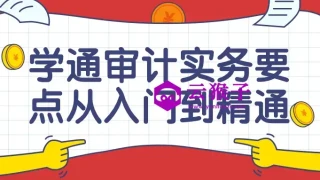 学通审计实务要点从入门到精通课 学通审计实务要点从入门到精通课