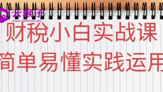 财稅小白实战课简单易懂实践运用 财稅小白实战课简单易懂实践运用