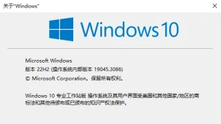 [国内不限速网盘分流] MVS (MSDN) Windows 10 VB-22H2 2023 年 6 月 官方 ISO 更新
