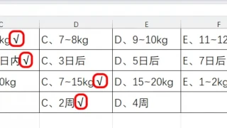 [文本办公]如何在Excel中提取带标记的答案？