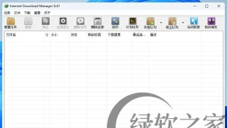 Internet Download Manager v6.41.16绿色版 Internet Download Manager v6.41.16绿色版