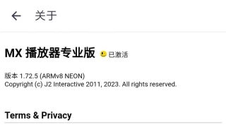 MX播放器(MX Player)专业版v1.72.5 MX播放器(MX Player)专业版v1.72.5