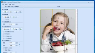海报打印 RonyaSoft Poster Printer v3.2.21 中文