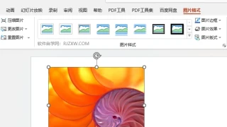 PPT图片如何设置重音图片版式效果