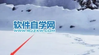 解决Windows11打不开程序的方法