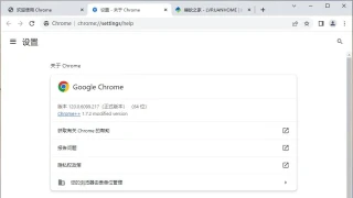 谷歌浏览器Google Chrome v120.0.6099.217绿色增强(Chrome++1.7.2)版